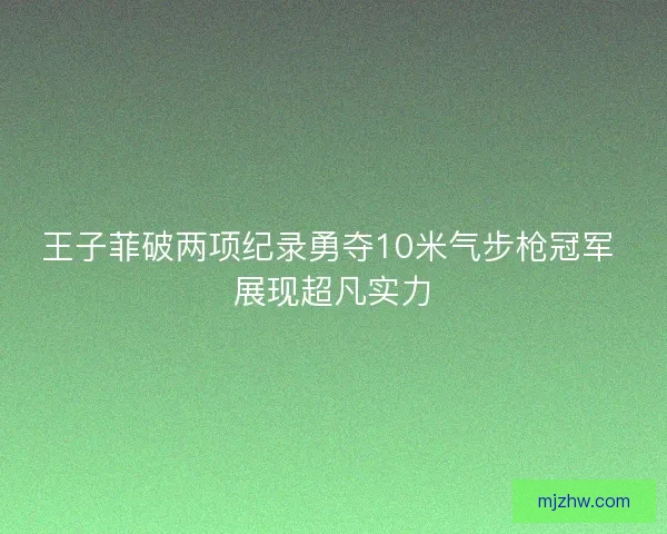 王子菲破两项纪录勇夺10米气步枪冠军 展现超凡实力 王子菲破两项纪录勇夺10米气步枪冠军 展现超凡实力